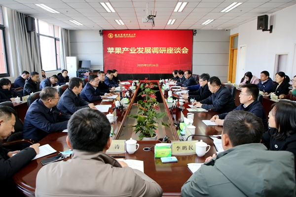 调研座谈会.jpg