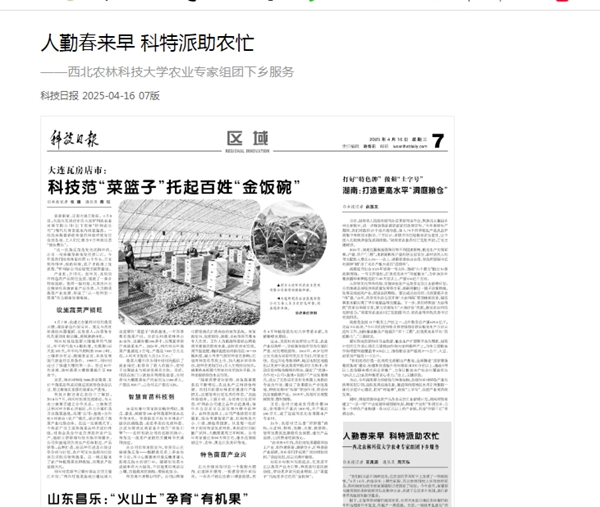 未命名_副本.jpg