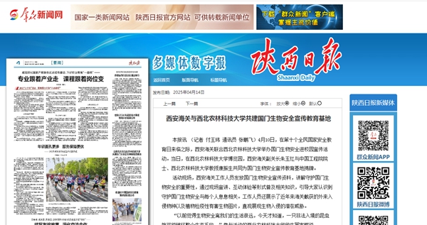 未命名_副本.jpg