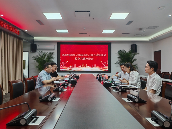 与中建六局四公司座谈_副本.jpg