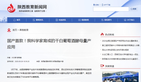 陕西教育新闻网25250529.jpg