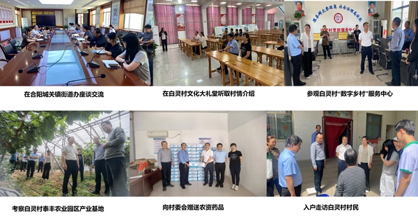 组合图片_副本.jpg