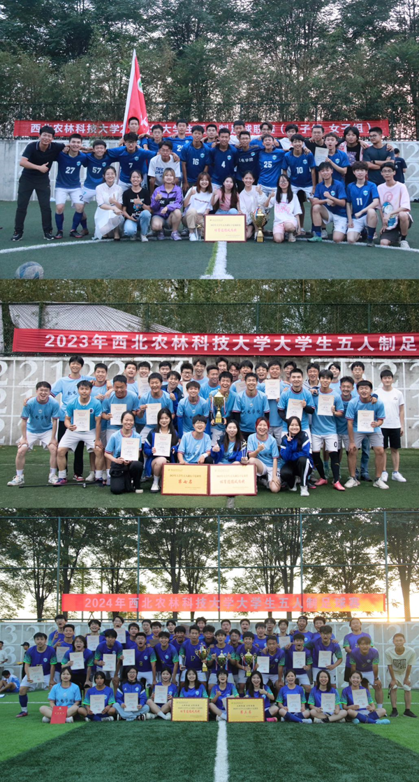 ffbd907478a614134e1a26ee13c6be011a_副本.png