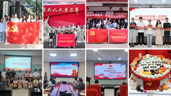 拼图_副本.jpg