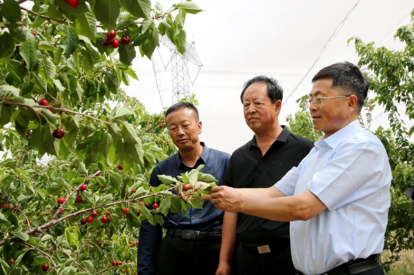 QQ20250620-085214.jpg