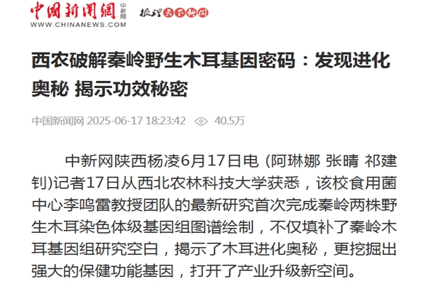 中国新闻网 2026-06-18.jpg