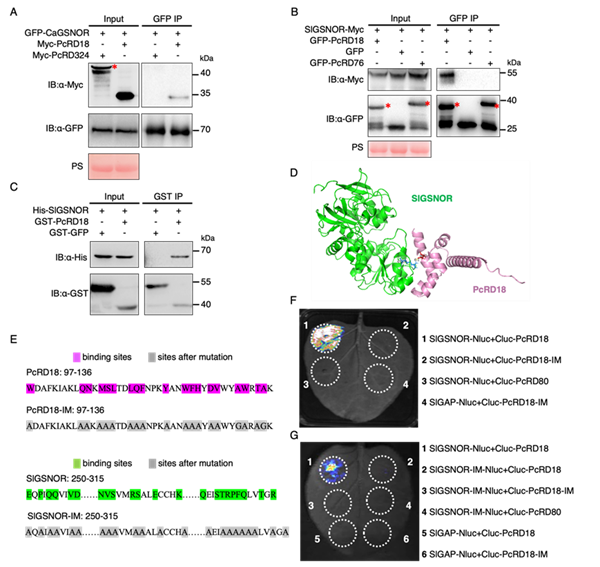 6002.png