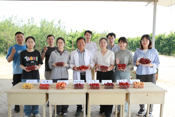 9试验站师生心声：把更好的樱桃品种与栽培管理技术奉献给果农_副本.jpg