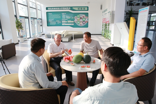3张显教授等与当地政府和企业负责人探讨西瓜新品种推广_副本.jpg