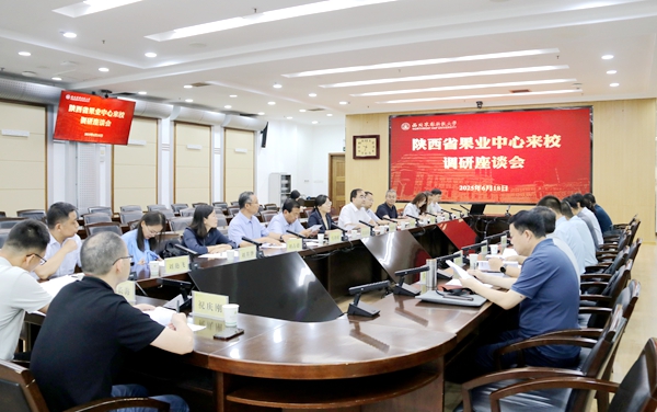 会议现场.JPG