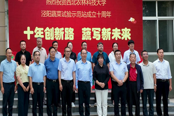 图片1_副本.png
