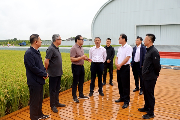 黄思光一行在佳木斯（建三江）农高区实地考察现代农业_副本.jpg