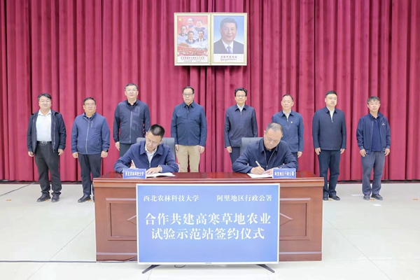 7801b158faa4d3846f5c66ee37c9e129_副本.jpg