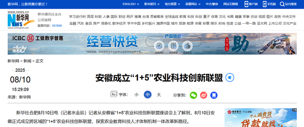 新华网8.12.png