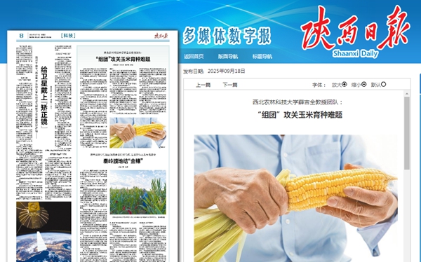 陕西日报20250918.jpg