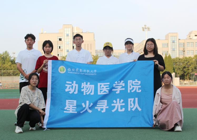 图片5.png