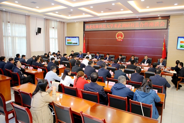 图片5_副本.jpg