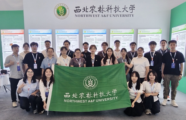 d465a5cb4ac083f7b69401463a1fc6ee_720_副本.png