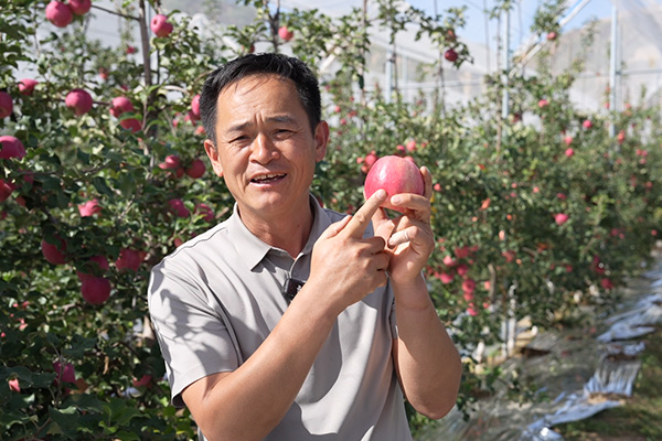 新闻网2.jpg