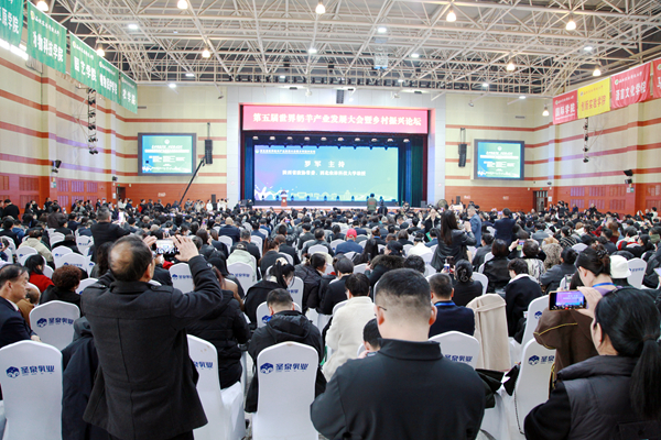 1.开幕式会场2_副本.jpg