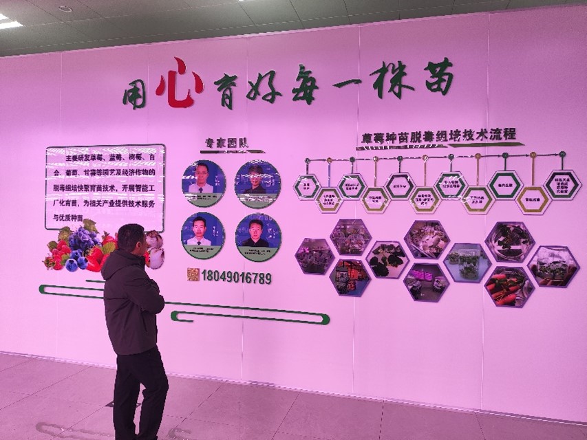 群众学习草莓脱毒苗技术展板.jpg