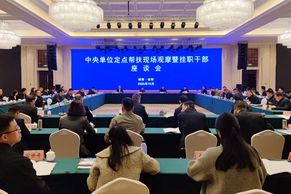 座谈会现场_副本.jpg