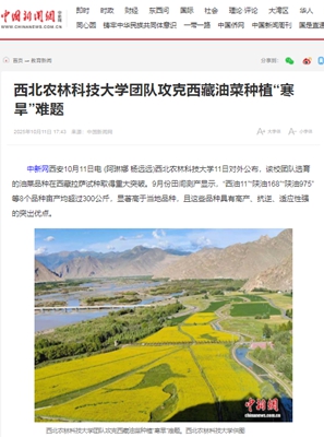 中国新闻网 2025-10-13.jpg