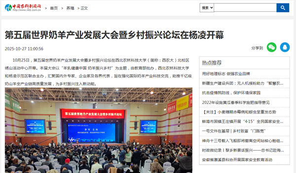 中国新闻网 2025.10.27.png