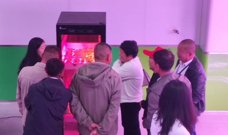 群众参观微型育苗箱.jpg