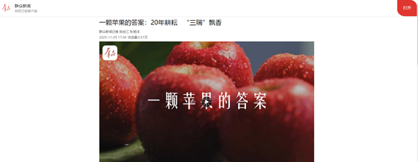 群众新闻 11.17.png