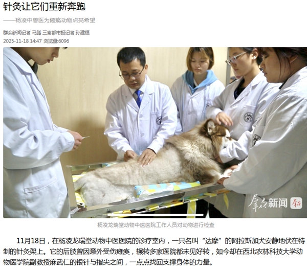 群众新闻 2025-11-18.jpg