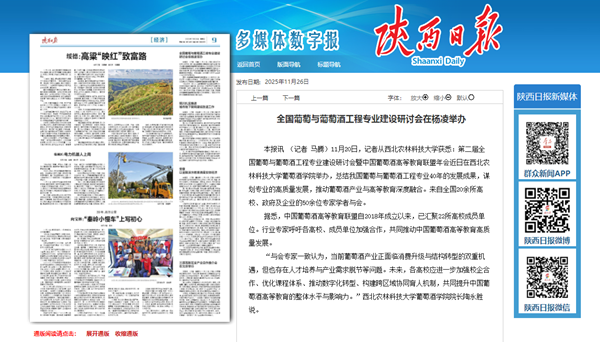 陕西日报 11..png