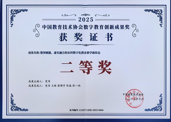 数字教育创新成果奖二等奖.jpg
