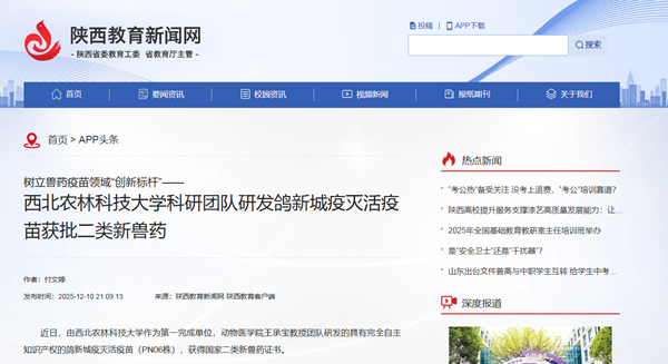 中国教育新闻网 12.11.png