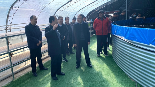 泰丰农业园区调研大棚养鱼_副本.jpg