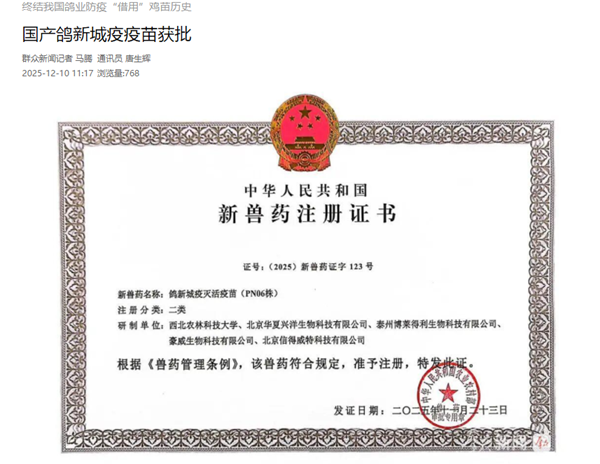 群众新闻 12.10.png