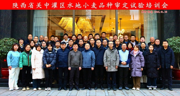 陕西省关中灌区水地小麦品种审定试验培训会合影_副本.jpg