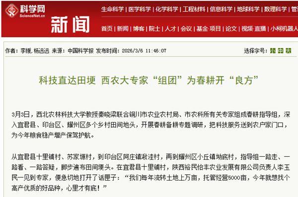 链接.png