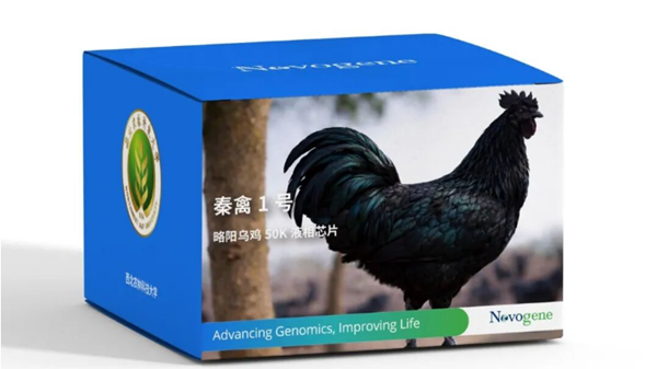 QQ20260423-142456.png