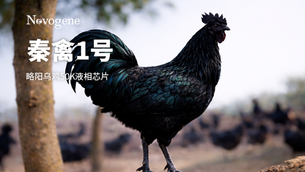 QQ20260423-142441.png