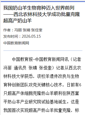 31b58a4c1b78aa361a80583e37dc9318_副本.png