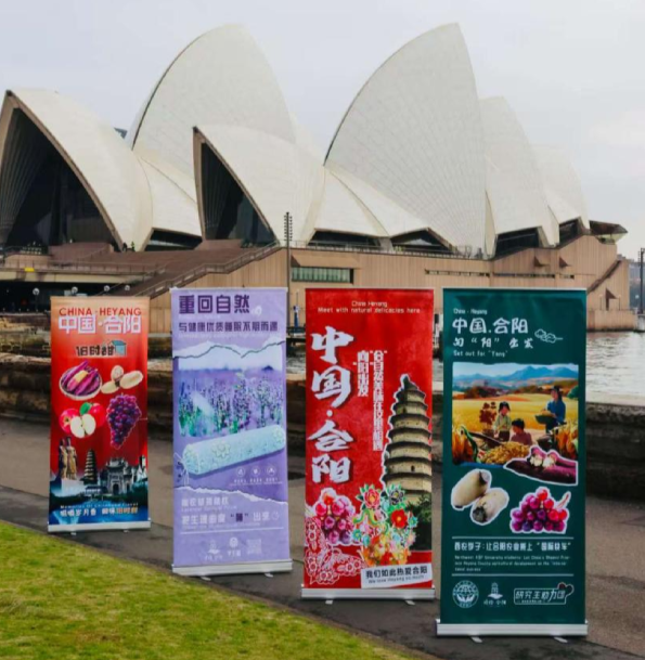 在黄泽请的努力下,合阳特产走进悉尼 (1).png