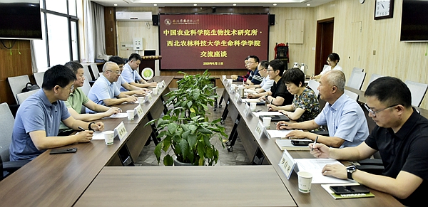 IMG_20260611_163119_副本.jpg