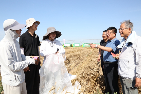 3.吴普特在曹新庄基地同正在参加“三夏”劳作的师生交流_副本.jpg