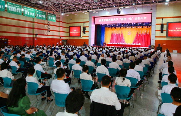 “两优一先”表彰大会现场_副本.jpg