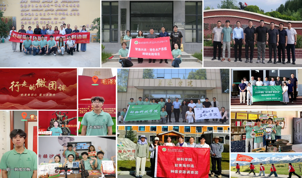 图片（组图）.png
