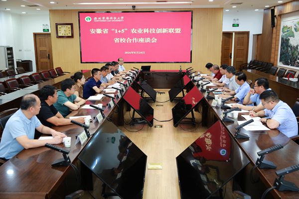 座谈会现场_副本.jpg