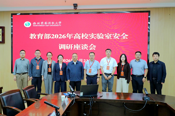 图片1_副本.png