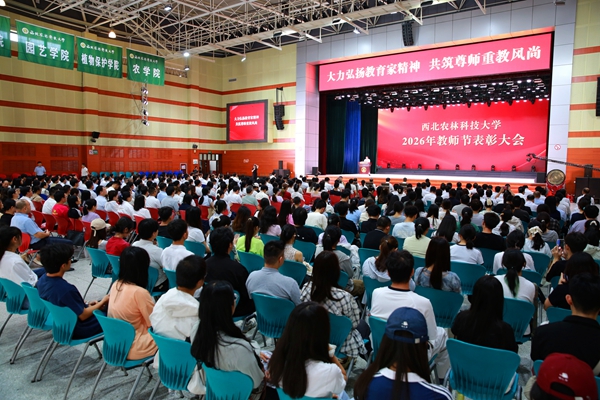 2026年教师节表彰大会现场_副本.jpg