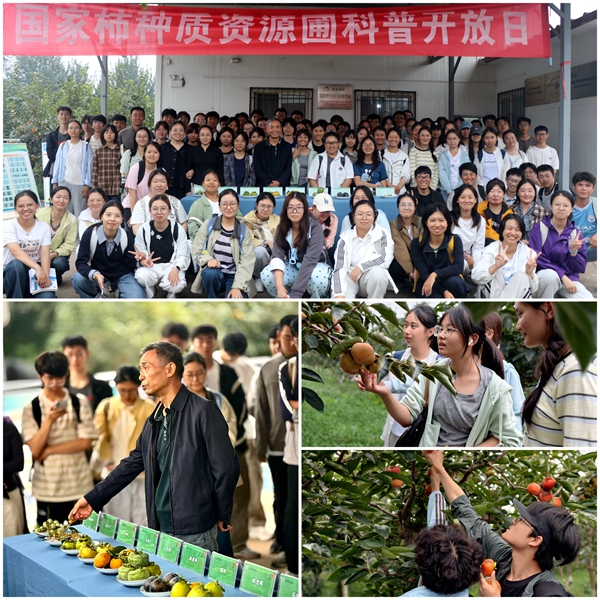 组图_副本.jpg